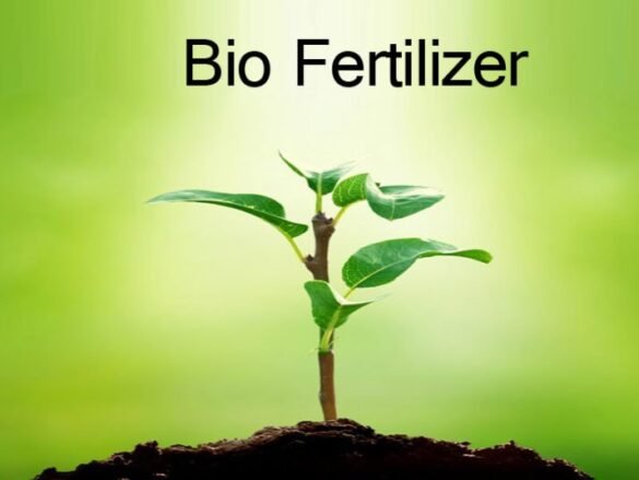 Benefits Of Using Biofertilizers