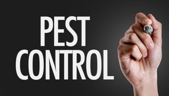 Pest Control