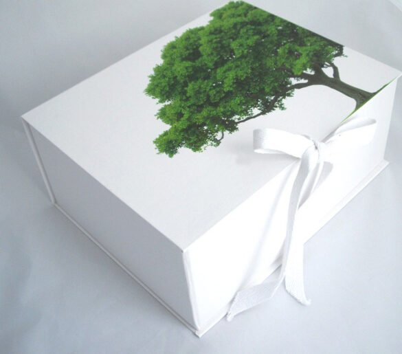 Sustainable Packaging