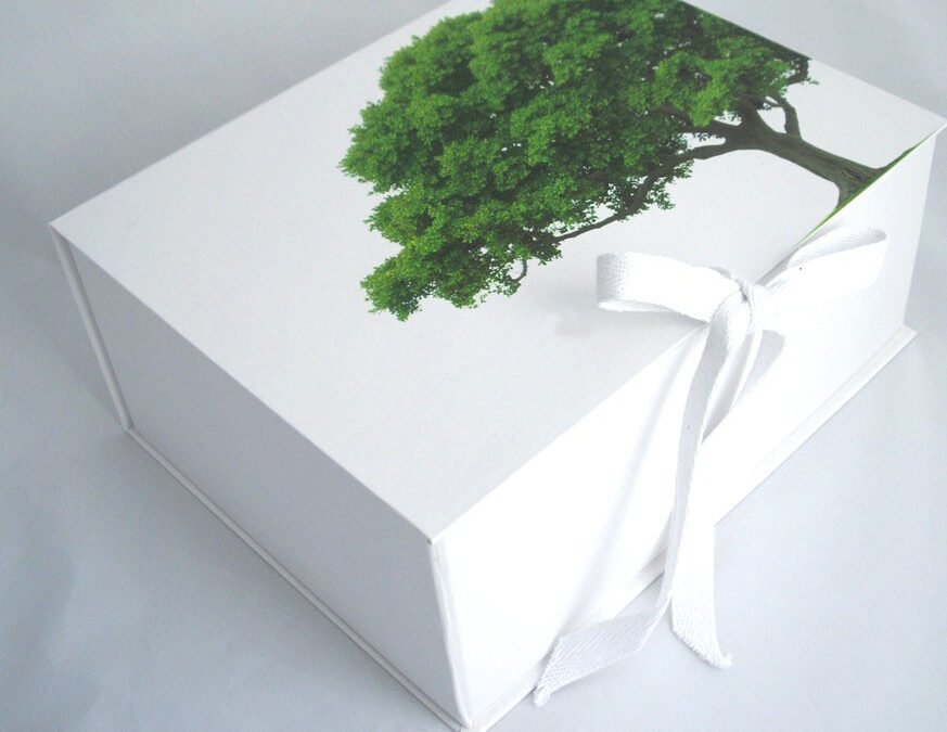 5 Easy ways to Protect the Earth with Eco-Friendly Boxes